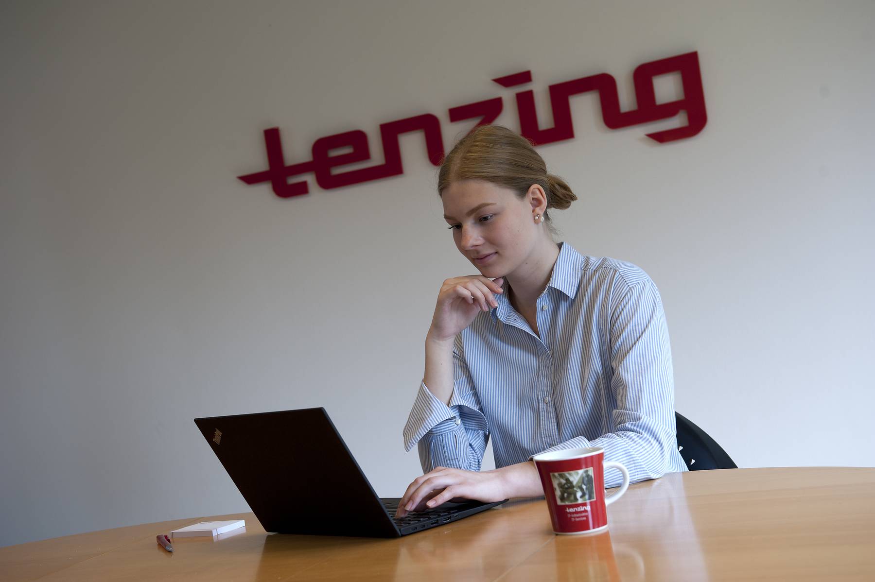 tenzing it systemhaus 6805_100