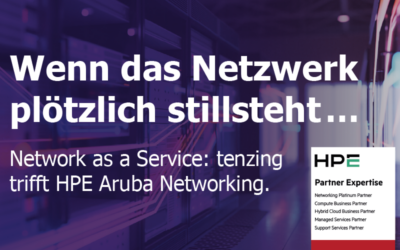 Wenn das Netzwerk ausfällt, beginnt oft eine aufwendige Fehlersuche: